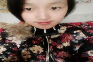 精灵宝可梦7全集